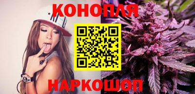 спиды Дубна