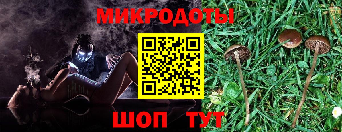 Галлюциногенные грибы мухоморы Лесосибирск