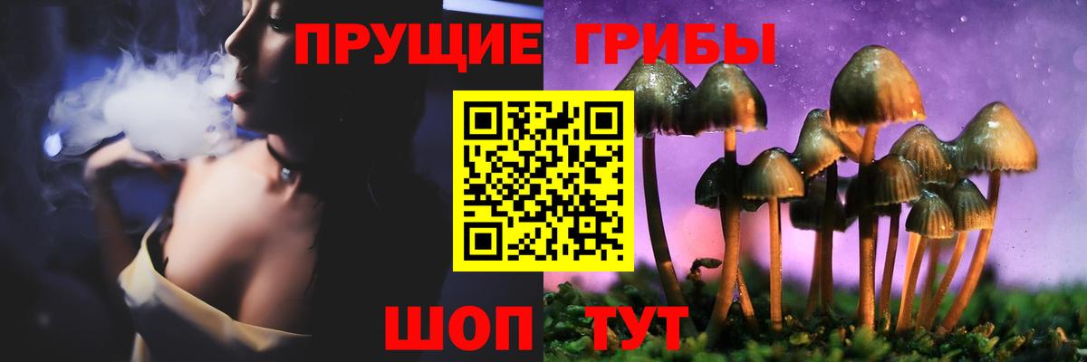 Псилоцибиновые грибы ЛСД  Вход с VPN  Псилоцибиновые грибы MAGIC MUSHROOMS  Лесосибирск 